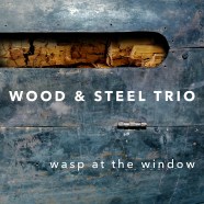 Titel_Luke_02_mailquality